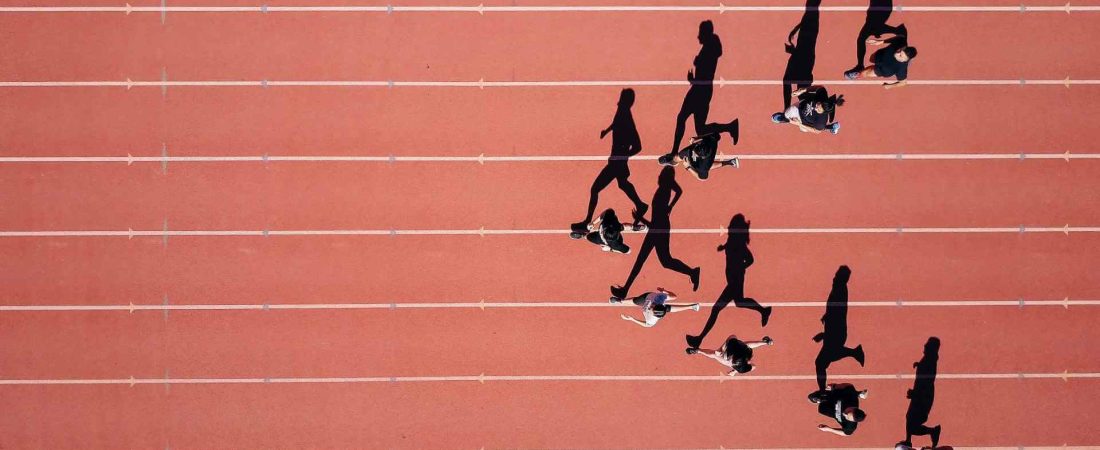 masterstudy_placeholder